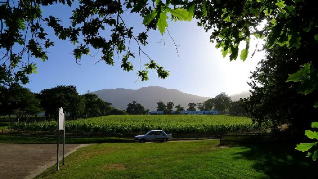 【開普敦包車一日遊】博卡普+聖喬治大教堂+碼頭區+葡萄酒莊