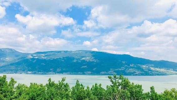 塞爾維亞來回：蘇博蒂察市政廳+猶太教堂+帕里奇胡+酒莊