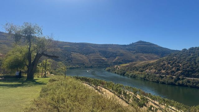 Porto: Tour di Mezza Giornata con Vino e Cibo nella Valle del Douro