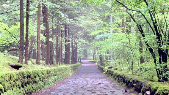 Jr pass East Japan and south Hokkaido 6-day rail pass [free global EMS shipping - shipped from Taiwan]