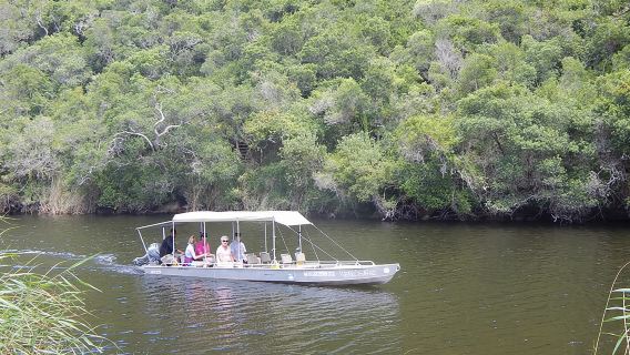 Touw River Boat Cruise - Wilderness National Park