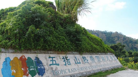 Sanya Private Guided 1-Day Tour: Yanoda + Wuzhishan + Betel Valley