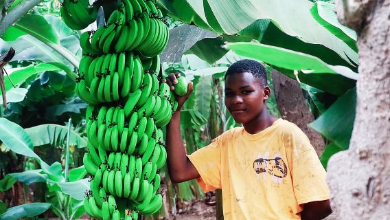 Нравится Местные жители: Банановая плантация и Кускус с местными жителями
