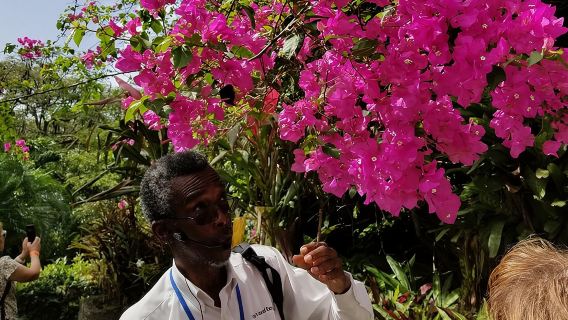 ทัวร์แกรนด์แห่งเซนต์คิตส์