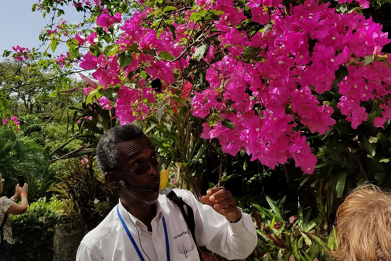 Il Grand Tour di St. Kitts