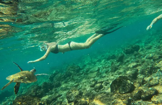 在富吉拉與海龜一起浮潛，享用燒烤午餐