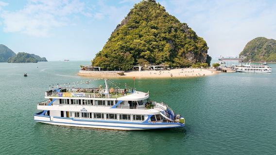 Ha Long Bay Cruise Day Tour - Cave, Kayaking, Swimming & Lunch