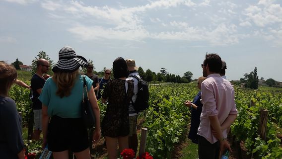 Half-day trip to Saint-Emilion wine estates from Bordeaux