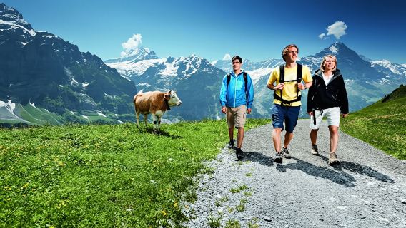 Full-day trip to Grindelwald and Interlaken from Lucerne