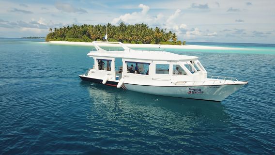 Buceador PADI Open Water de RIU Atoll y RIU Palace Maldivas