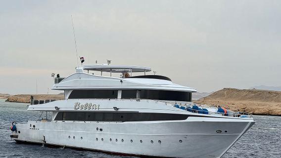 Marsa Alam: Snorkel with Sea Cows and Turtles at Marsa Mubarak