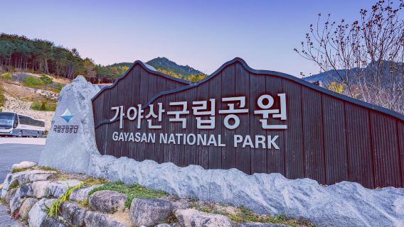 Kesejahteraan & Warisan: Perjalanan Perlahan Hapcheon