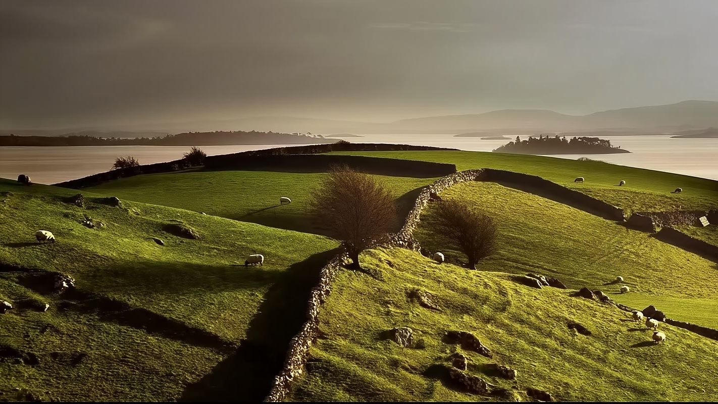 愛爾蘭的懸崖詩篇：莫赫一日，把心留在驚濤與峭壁間包車一日遊