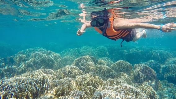 Berangkat dari Krabi: Tur Sehari dengan Speedboat ke Pulau Phi Phi + Teluk Maya + Pulau Bambu + Pantai Monyet