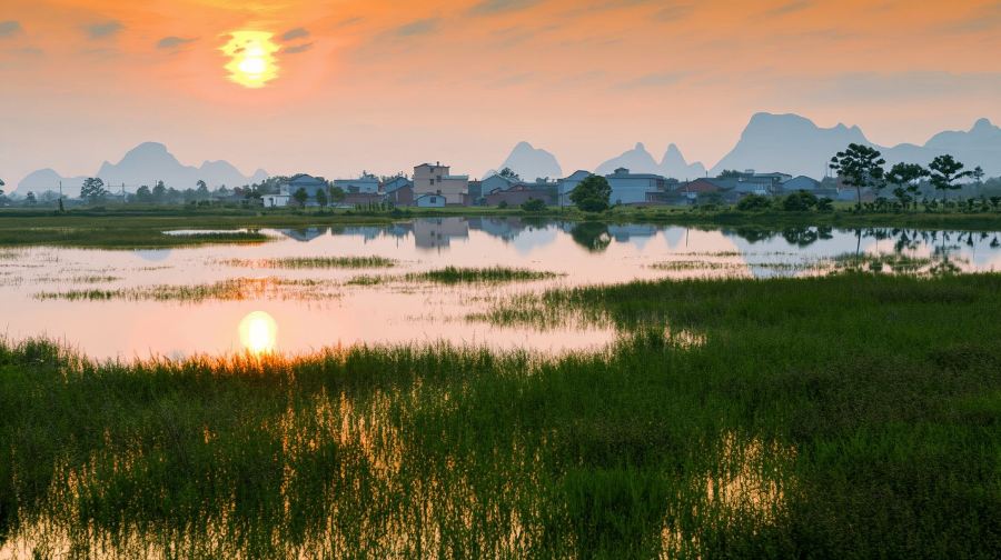 桂林陽朔會仙濕地+船遊濕地玻璃田狀元橋一日遊小眾路線田園風光