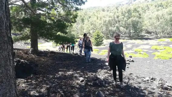 Mount Etna Half-Day Small Group Tour from Taormina