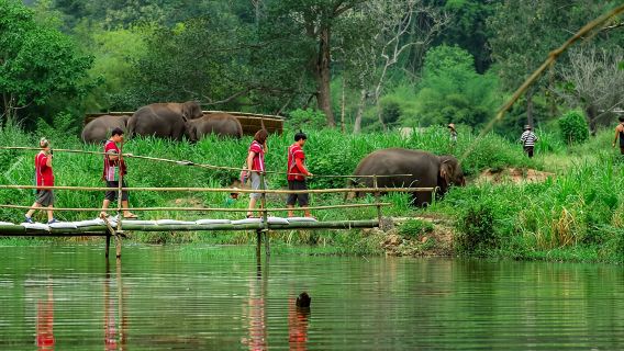 Kachiao Elephant Sanctuary Half-Day Tour (Elephant Care + Elephant Bathing & Feeding + Hotel Transfer)