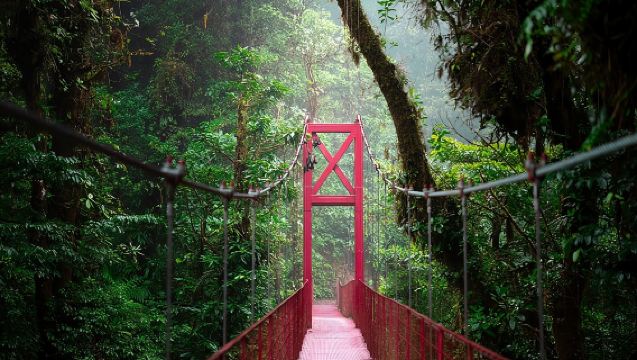 ทัวร์นำเที่ยวป่าเมฆมอนเตเวร์เด