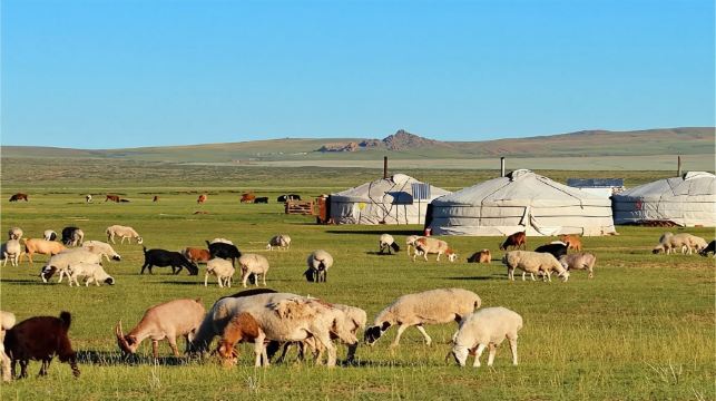 烏蘭巴托成吉思汗騎馬雕像+特日勒吉國家公園一日遊【上門接送】