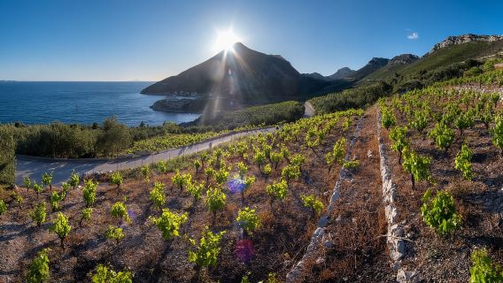 Découvrez la péninsule de Pelješac – Un circuit œnologique en petits groupes