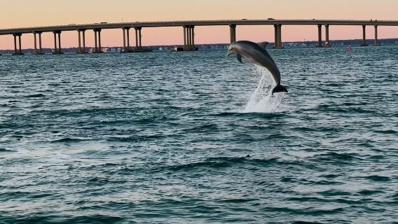 Destin: 90-Minute Boat Ride With Cruise Destin Bay