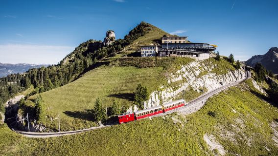 Biglietto d'ingresso Schynige Platte - Cima della tradizione svizzera