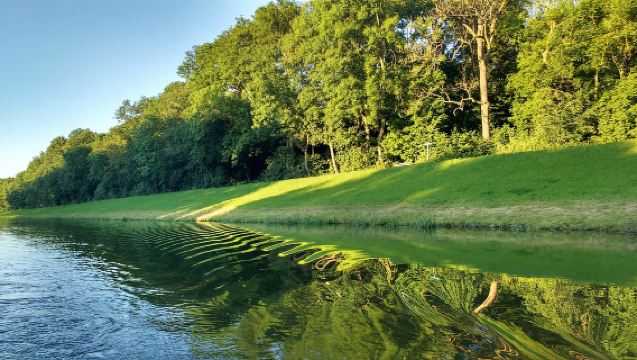 Leipzig: 2-stündige Motorboattour durch den Auwald