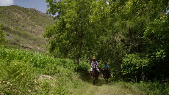 Equestrian Escape: Horse Safari Adventure