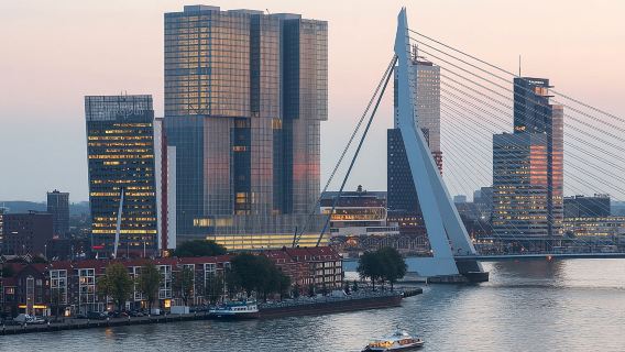 Rotterdam Grand South Holland Private Tour with The Hague & Delft