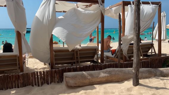 Excursión de día completo al Aviario Nacional y al Plancton de Playa Blanca