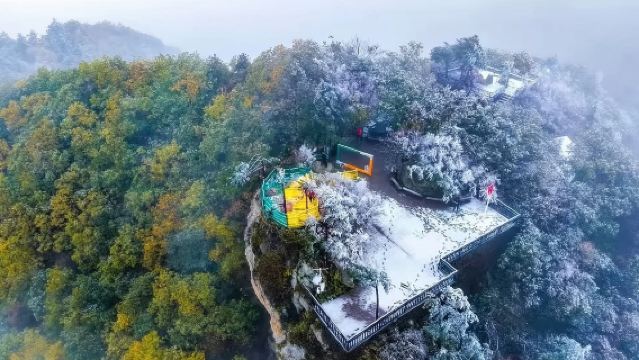 Door-to-door pickup · Premium small group · Laojieling 1-day tour · One mountain divides north and south, one meter sees autumn and winter