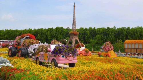 Miracle Garden and Global Village with Transfers - Ticket Day Tours 6
