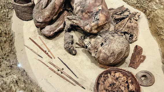 Turin: Geführte Tour durch das Ägyptische Museum