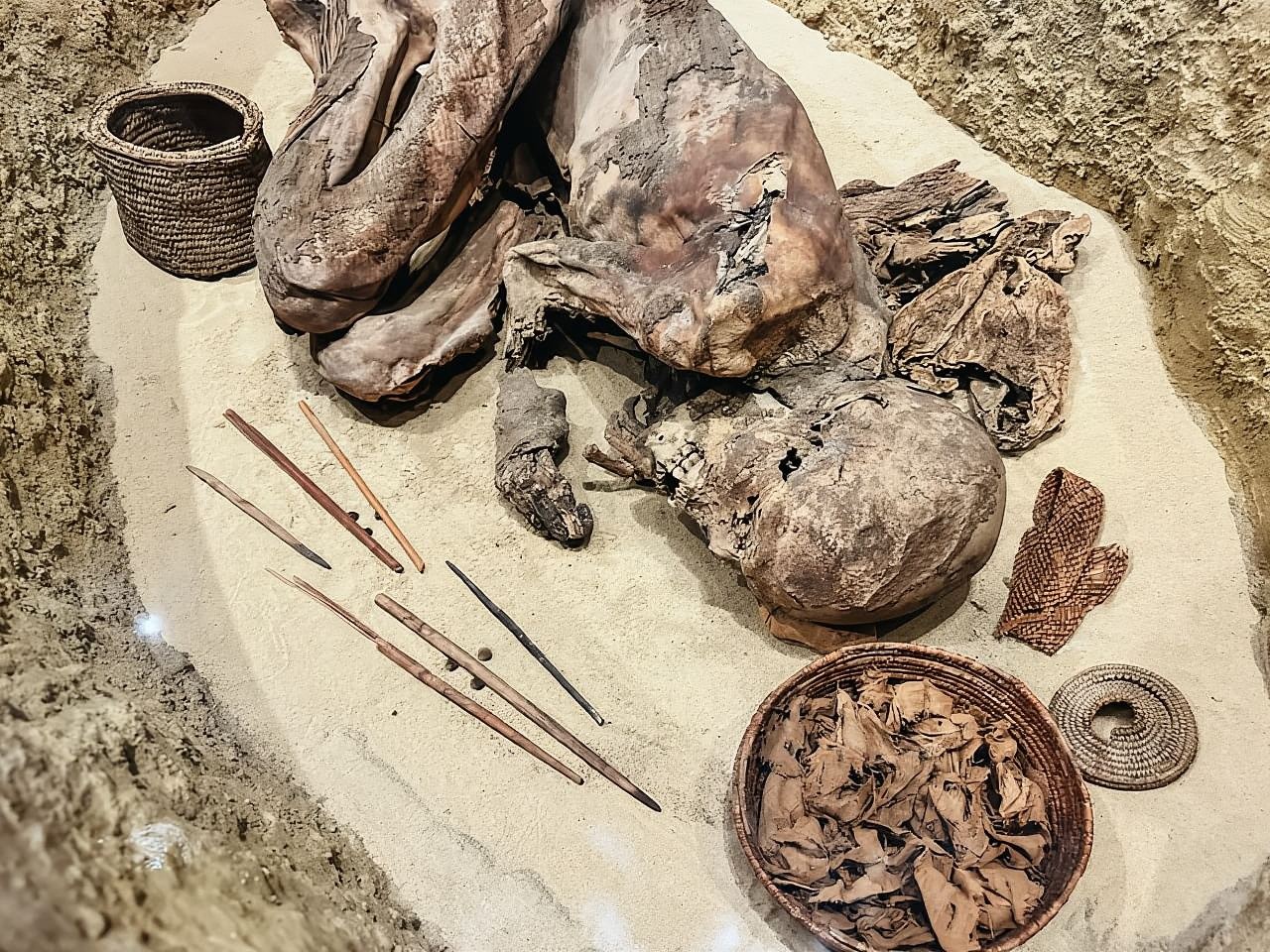 Turin : Visite guidée du musée égyptien