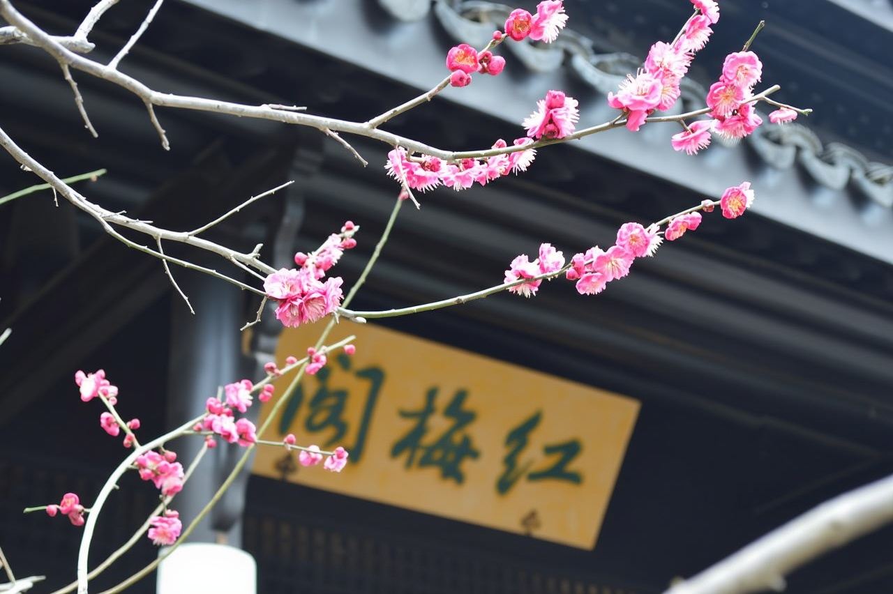 Business vehicle | Optional English-speaking guide | Departing from Nanjing + Tianning Temple + Hongmei Park + Sanbao Street