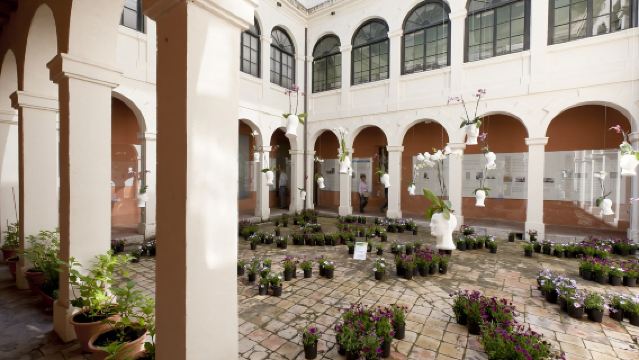 Quartiere ebraico di Gerona + Cattedrale + Museo Archeologico di Gerona + Museu d'Historia de la Ciutat