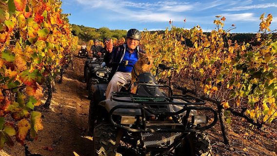 1h30m – Nature Quad Trail