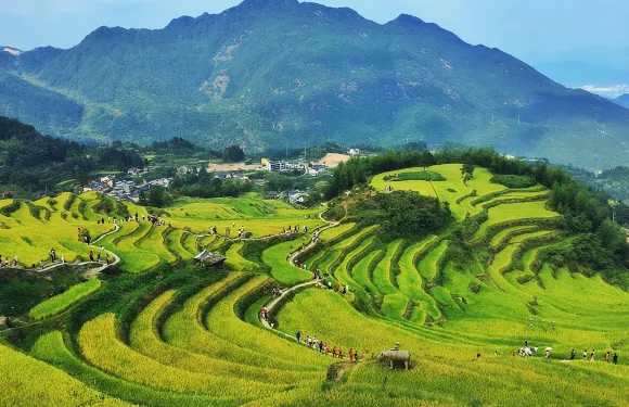 2人起私家團雲和梯田古堰畫鄉一日遊麗水上門接送