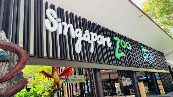 夜間野生動物園 + 河川生態園一日遊 中文接送 + 無需拼車 + 含門票