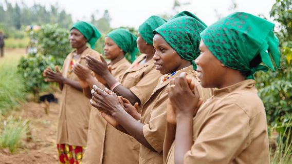 Trekking nelle piantagioni di caffè guidate dalle donne