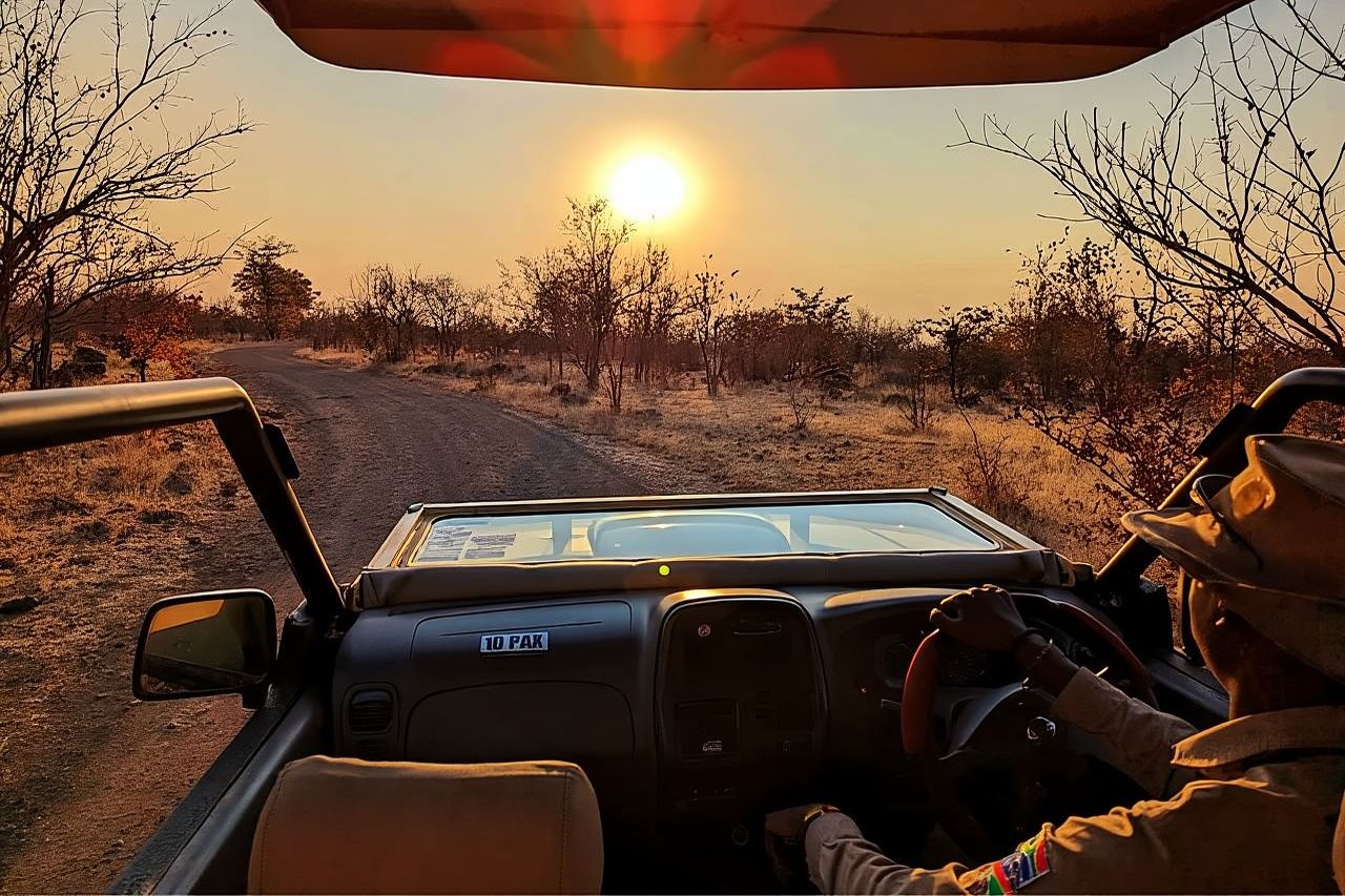 Off the Beaten Path: Unique Safaris in Zambezi National Park 