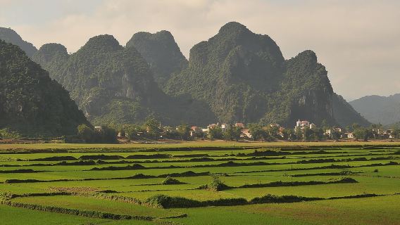 Tour to the caves ONE DAY tour to Phong Nha and Paradise caves