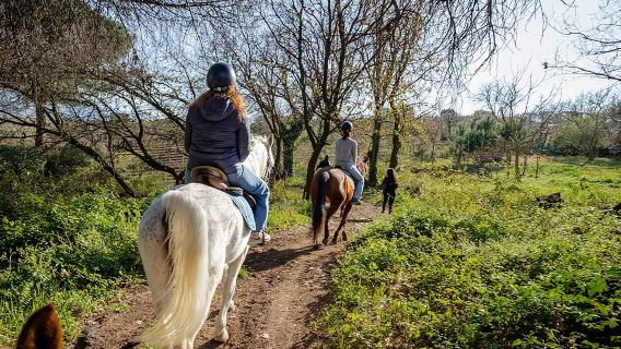 Pompeii Guided Tour & Horse Riding on Vesuvius with Lunch