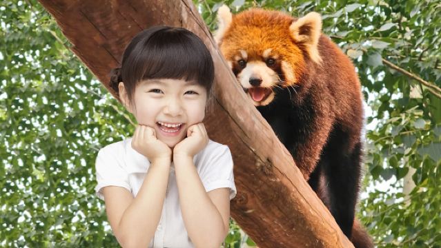 北京動物園+八達嶺長城一日遊【精選小團◉親子甄選◉專車接送】