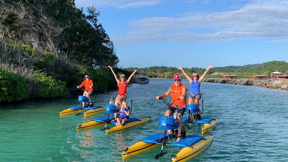 Hydrobike Harbor Tour, Reef Snorkel & Private Island Beach Break