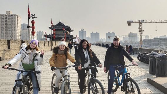 Xi'an Private Day Tour: Xian Museum/Ancient City Wall/Food Exploration in Muslim Quarter