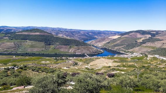 Full-day Douro Valley and wineries tour
