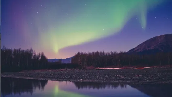 Tromso, Norway, one-day bus one-day tour to chase the northern lights [6 hours|English Tour]