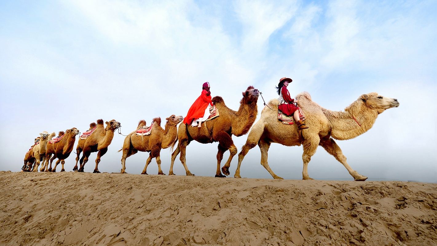 寧夏中衞起止一日遊沙坡頭+騰格裡沙漠+66號公路一日遊嗨小團