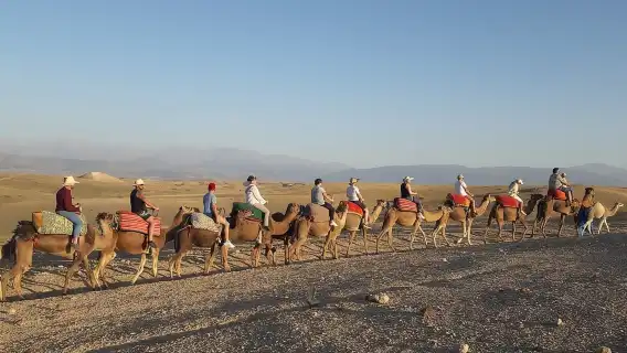 Quad Biking & camel ride Agafay desert with Lunch or dinner